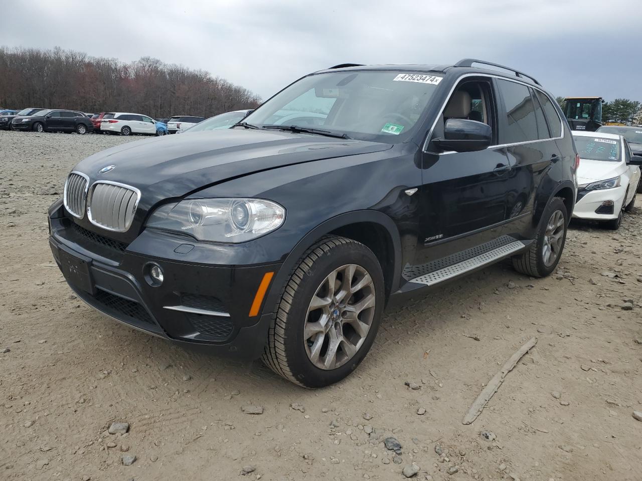 BMW X5 2013 5uxzv4c54d0b17756