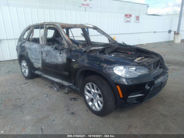 BMW X5 2013 5uxzv4c54d0b24142