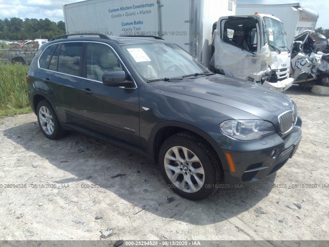 BMW X5 2013 5uxzv4c55d0b22500