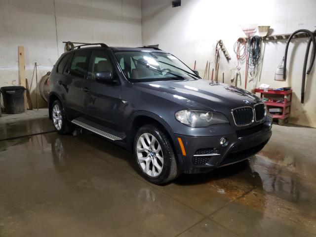 BMW X5 2010 5uxzv4c56bl738005