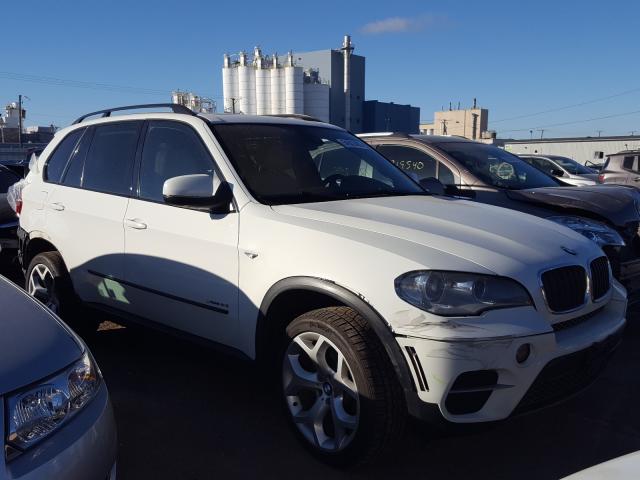 BMW NULL 2013 5uxzv4c56d0b16494