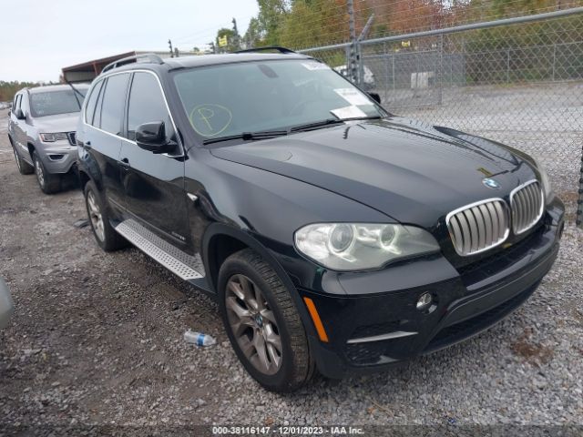 BMW X5 2013 5uxzv4c57d0b17959