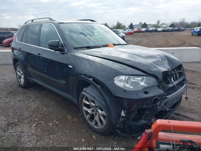 BMW X5 2013 5uxzv4c57d0g51138