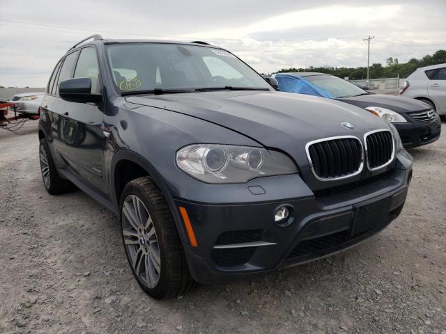 BMW X5 2013 5uxzv4c58d0b02502