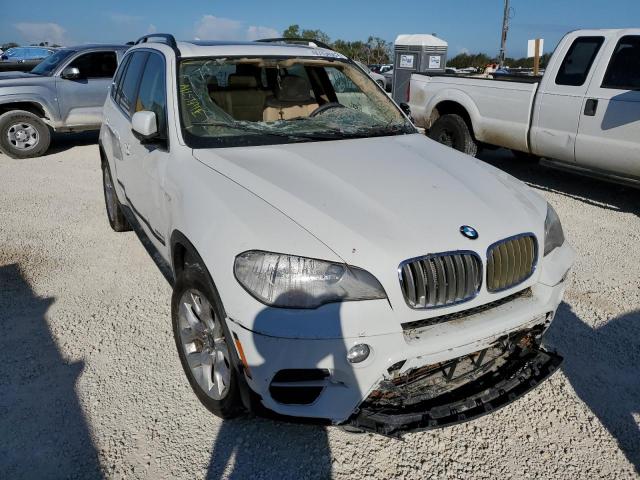 BMW X5 2013 5uxzv4c58d0b07506