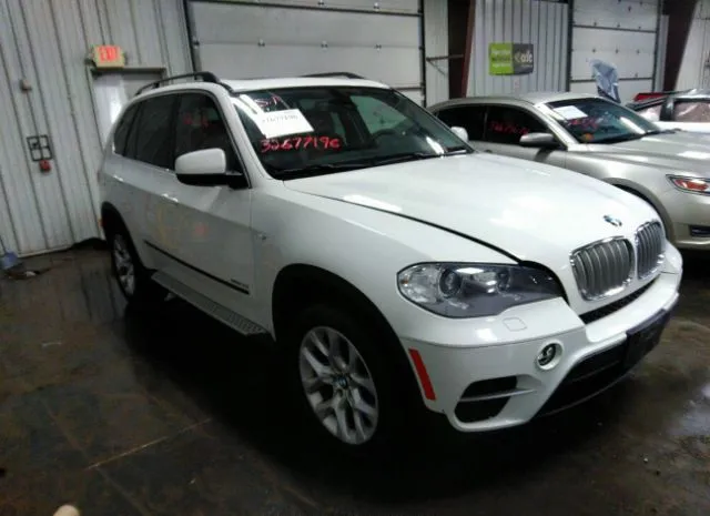 BMW X5 2013 5uxzv4c58d0g53464