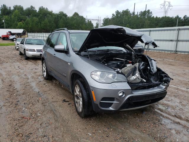 BMW NULL 2013 5uxzv4c59d0b00094