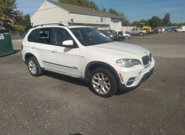 BMW X5 2013 5uxzv4c59d0b01651