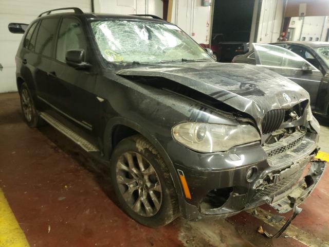 BMW NULL 2013 5uxzv4c59d0b05229