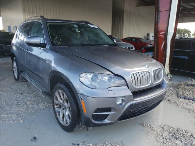 BMW NULL 2013 5uxzv4c59d0b14450