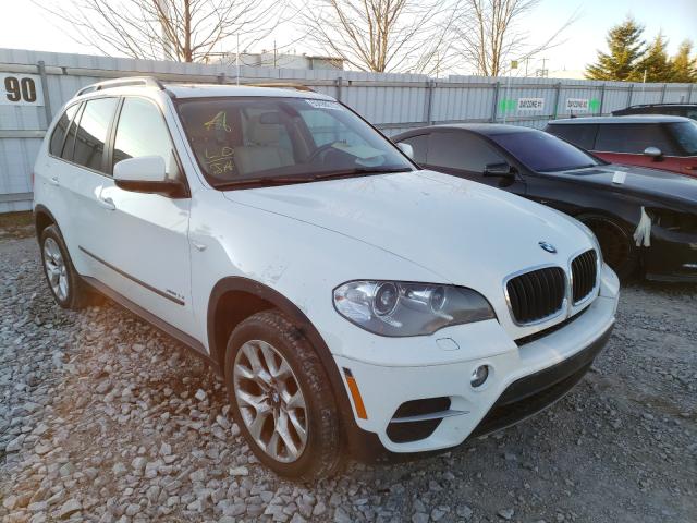 BMW NULL 2013 5uxzv4c59d0b15730