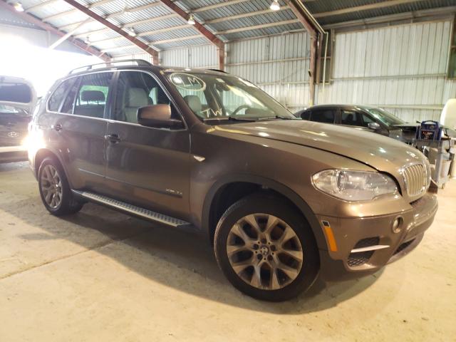 BMW NULL 2013 5uxzv4c59d0e08950