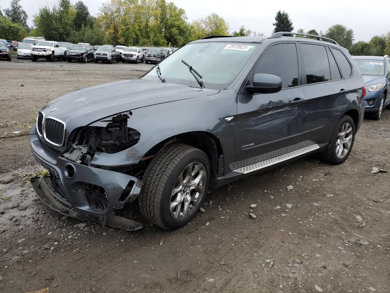 BMW X5 2011 5uxzv4c5xbl414698