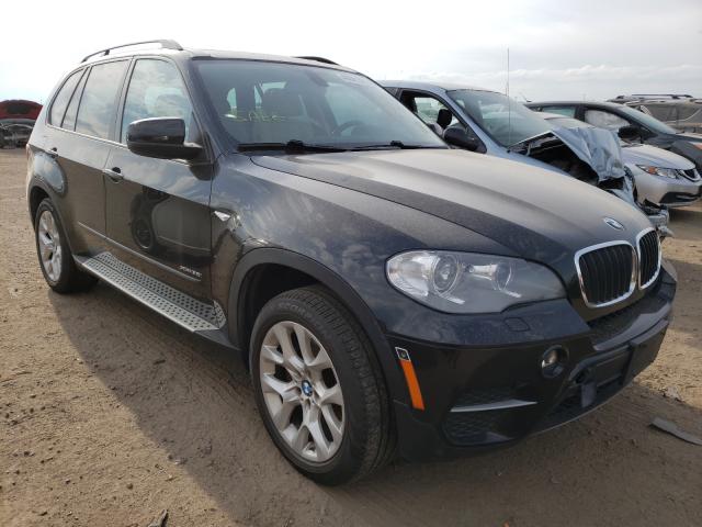 BMW X5 2012 5uxzv4c5xd0b03974