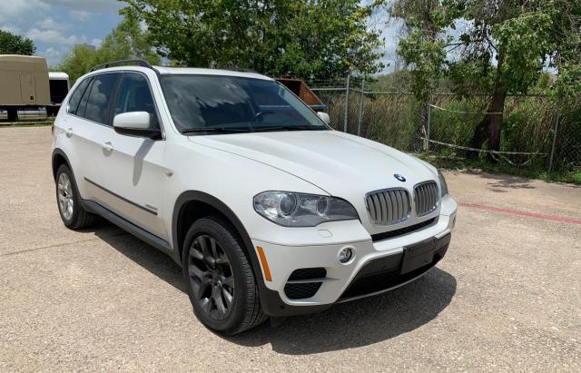 BMW X5 2013 5uxzv4c5xd0b13775