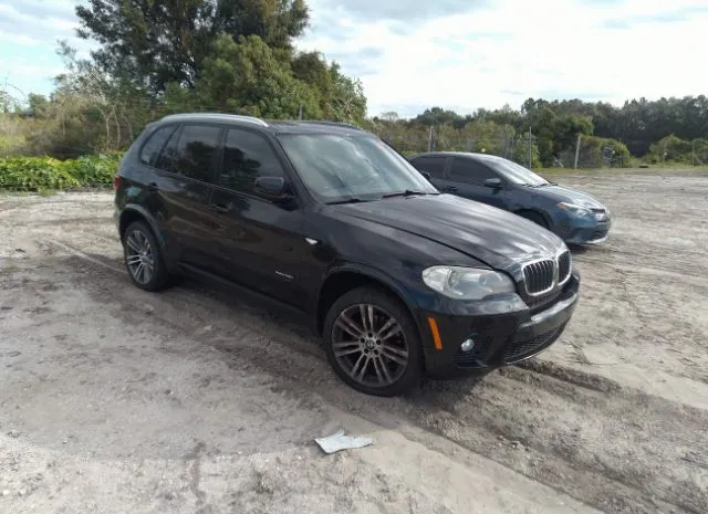 BMW X5 2013 5uxzv4c5xd0b16787