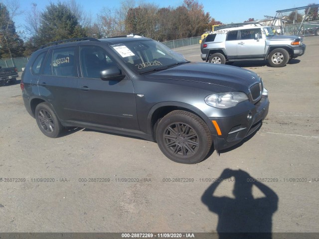 BMW X5 2013 5uxzv4c5xd0b19723