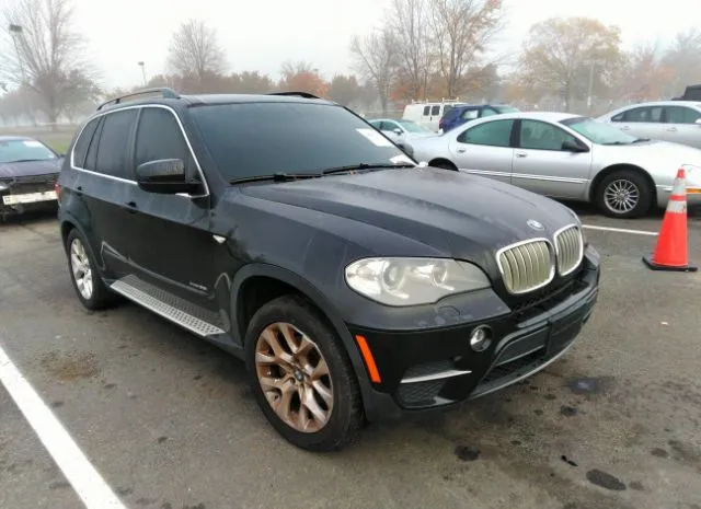 BMW X5 2013 5uxzv4c5xd0b19866