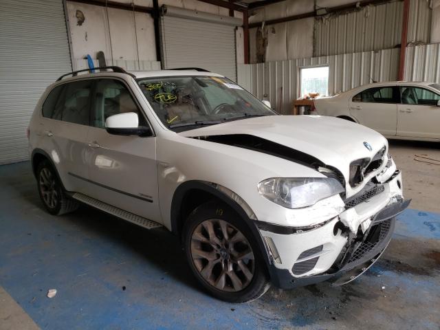 BMW NULL 2013 5uxzv4c5xd0b20497