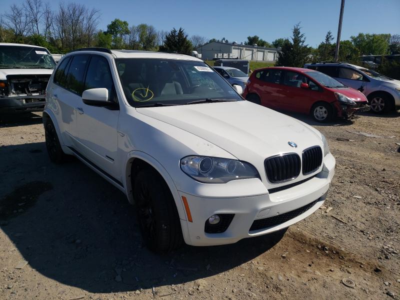 BMW X5 2013 5uxzv8c58d0c17334