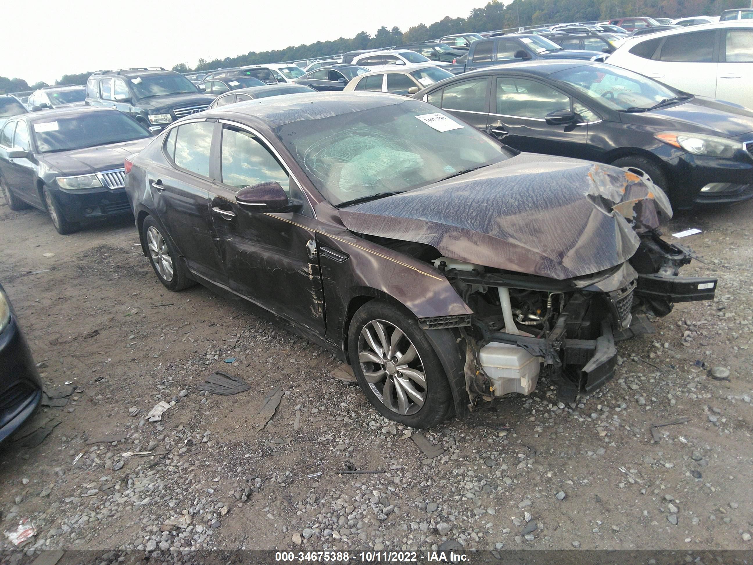 KIA OPTIMA 2013 5xxgm4a73dg217567