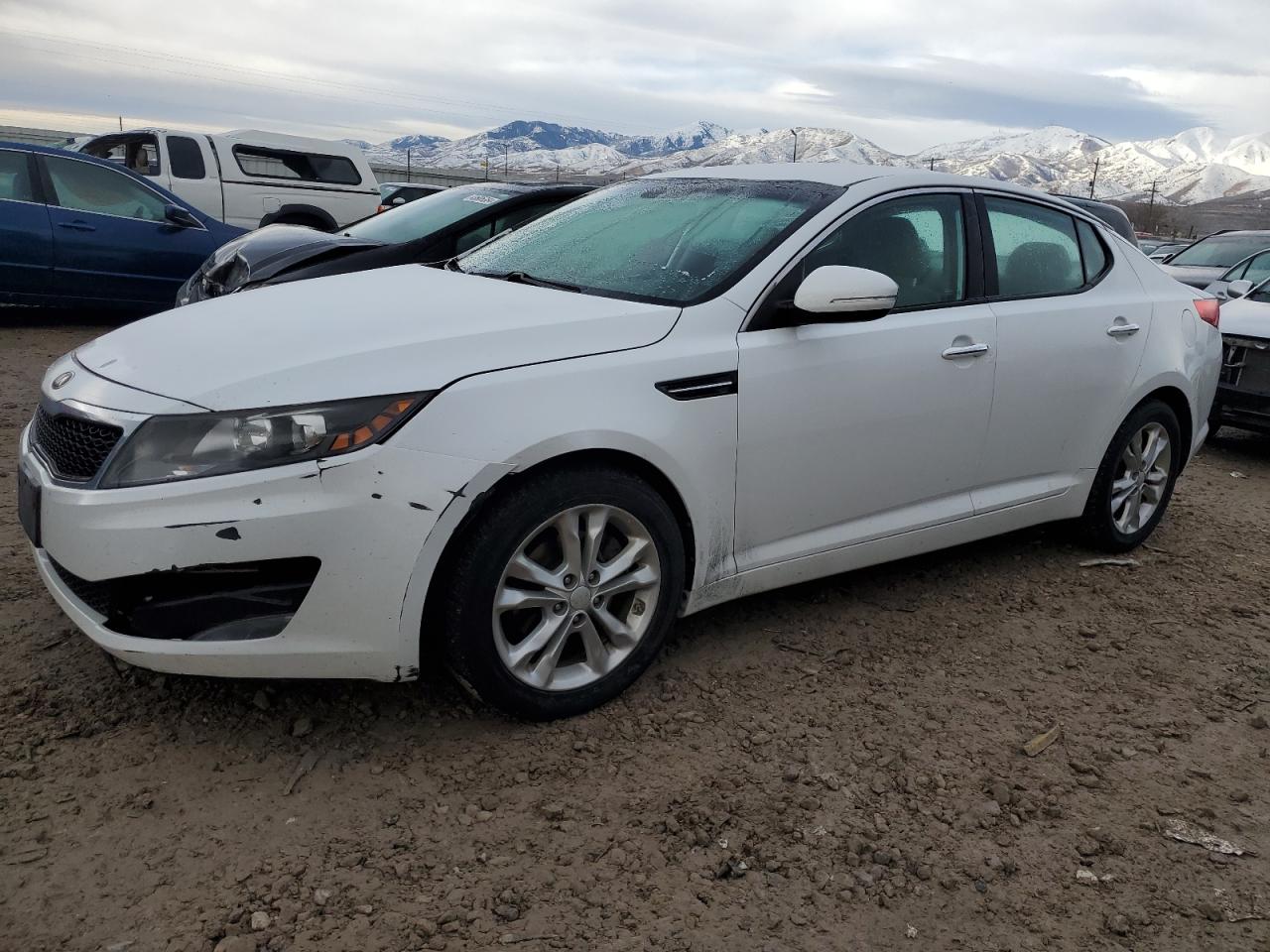 KIA OPTIMA 2013 5xxgm4a74dg163082