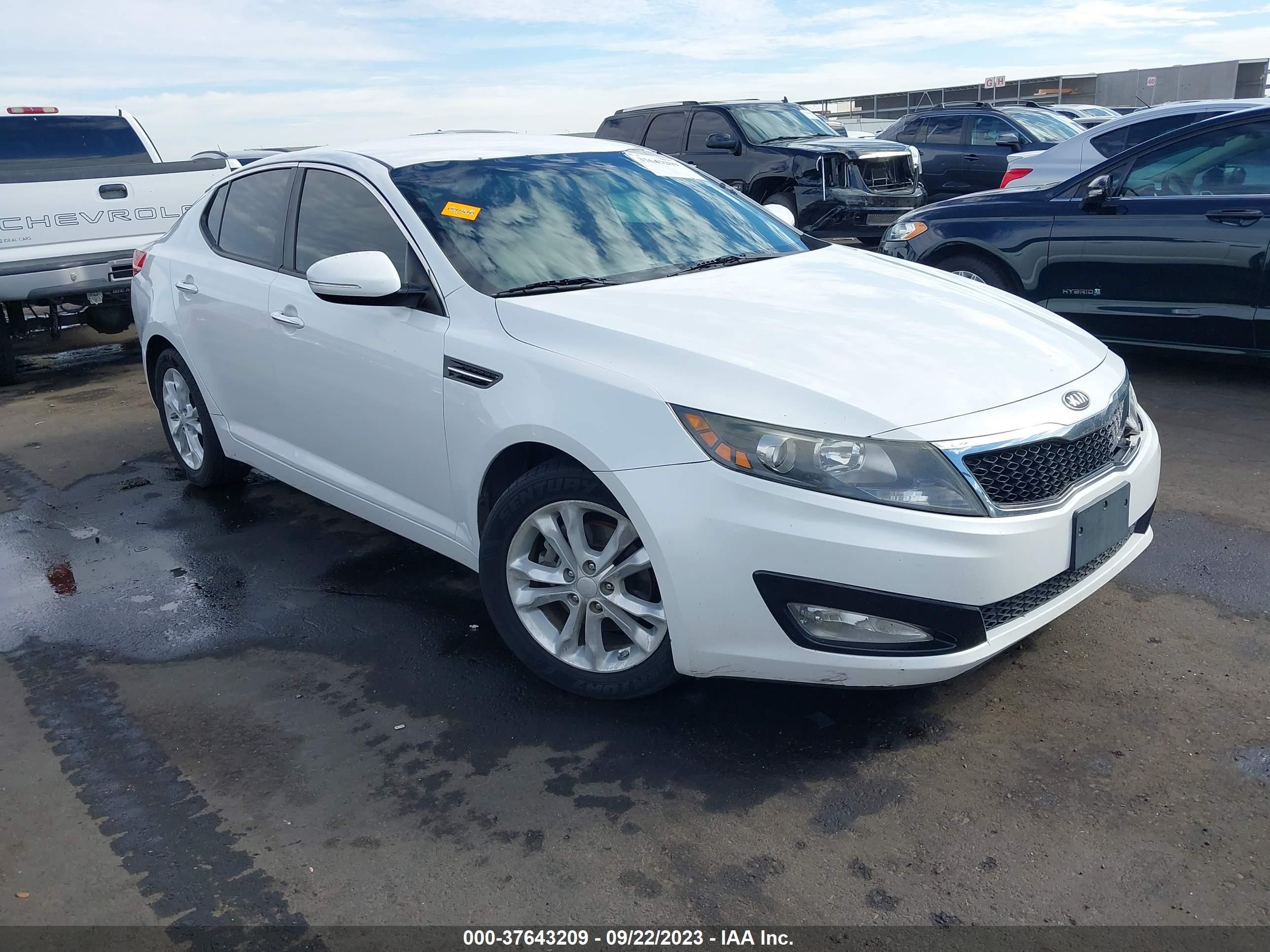 KIA OPTIMA 2013 5xxgm4a75dg144301