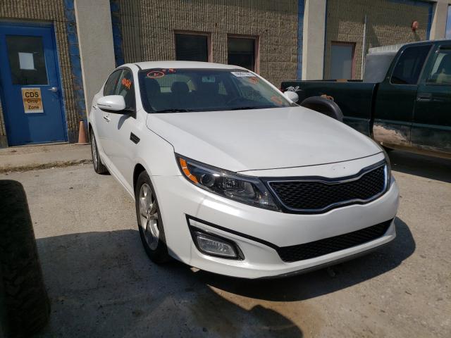 KIA OPTIMA 2013 5xxgm4a76dg095349