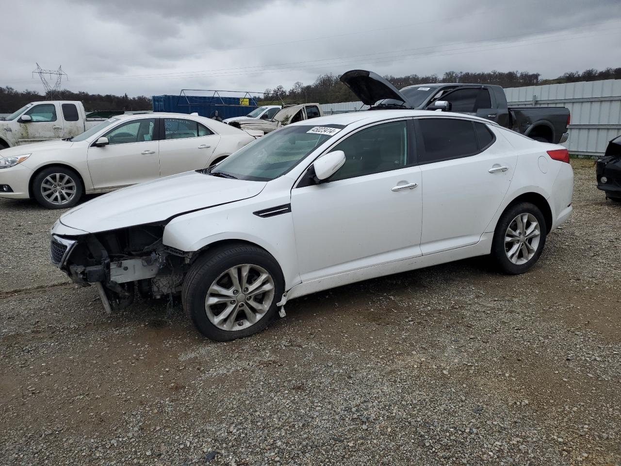 KIA OPTIMA 2013 5xxgm4a77dg122722