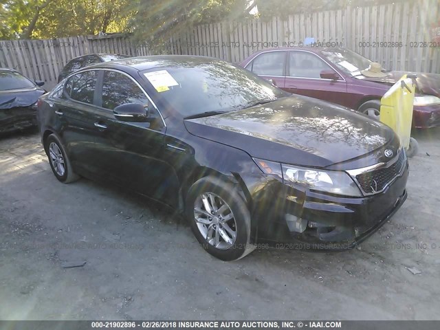 KIA OPTIMA 2013 5xxgm4a79dg210767