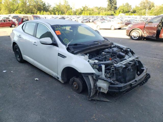 KIA OPTIMA LX 2013 5xxgm4a7xdg212513