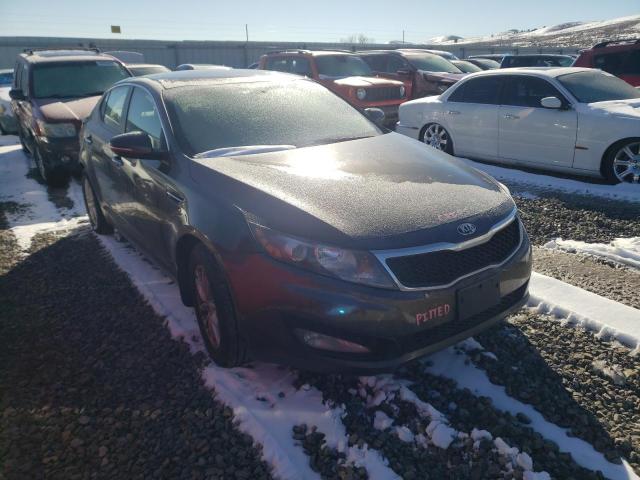 KIA OPTIMA LX 2013 5xxgm4a7xdg234902