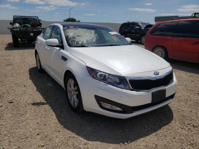 KIA OPTIMA EX 2013 5xxgn4a74dg196242