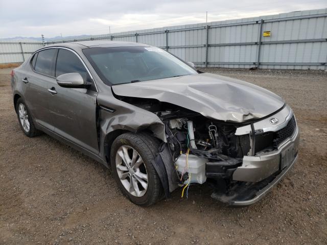 KIA OPTIMA EX 2013 5xxgn4a76dg176185