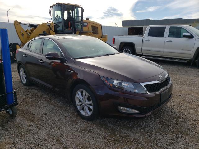 KIA OPTIMA EX 2013 5xxgn4a79dg189836