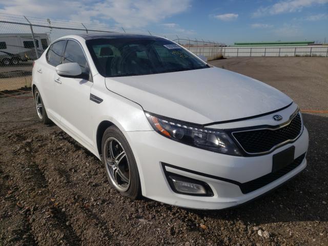 KIA OPTIMA EX 2015 5xxgn4a79fg498743