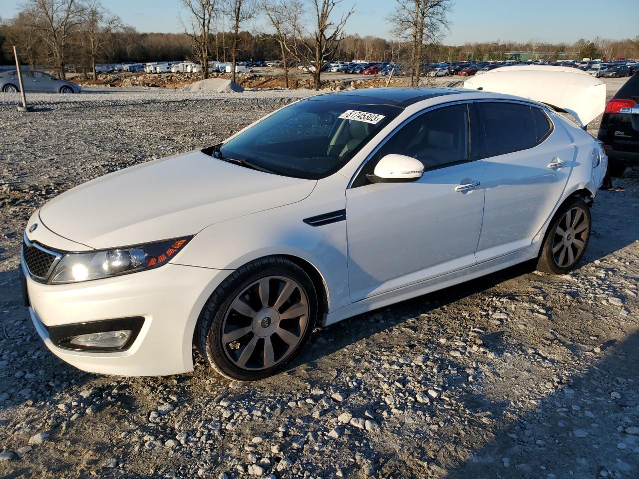 KIA OPTIMA 2013 5xxgr4a62dg116299