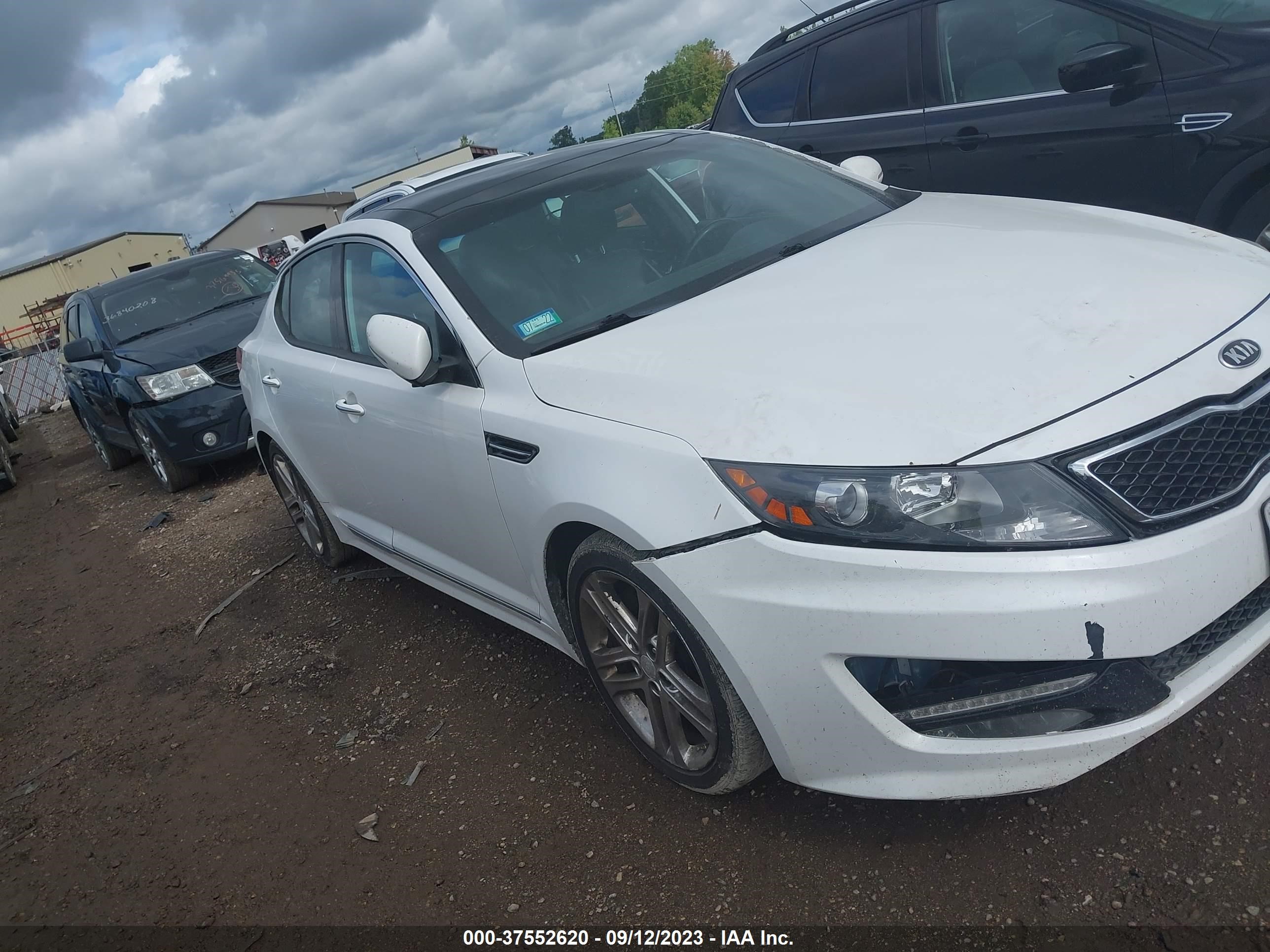 KIA OPTIMA 2013 5xxgr4a64dg243104