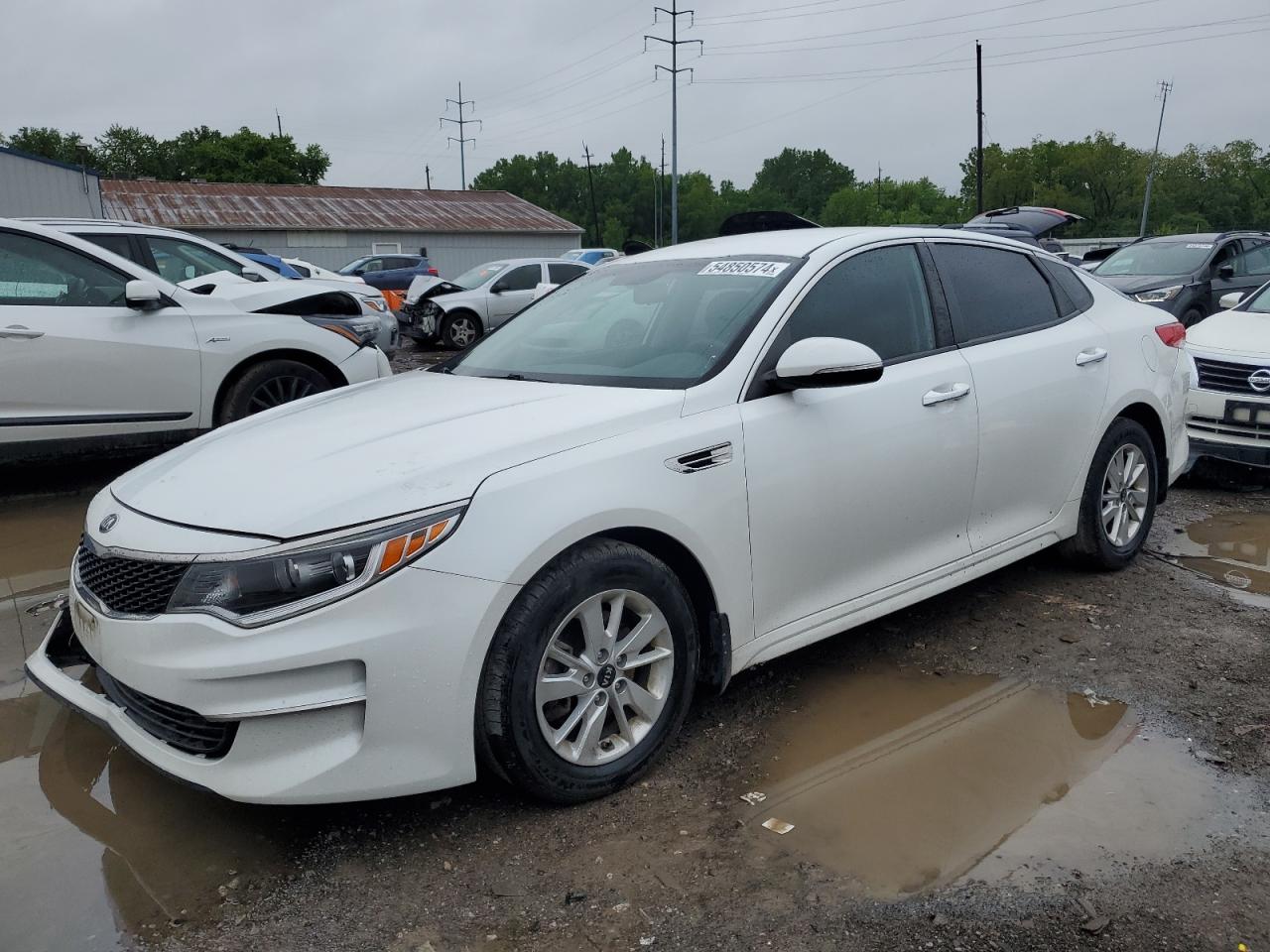 KIA OPTIMA 2019 5xxgt4l31gg047114