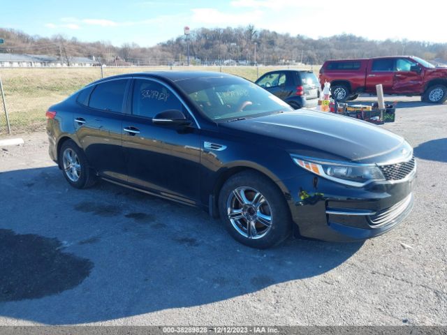 KIA OPTIMA 2016 5xxgt4l31gg054872