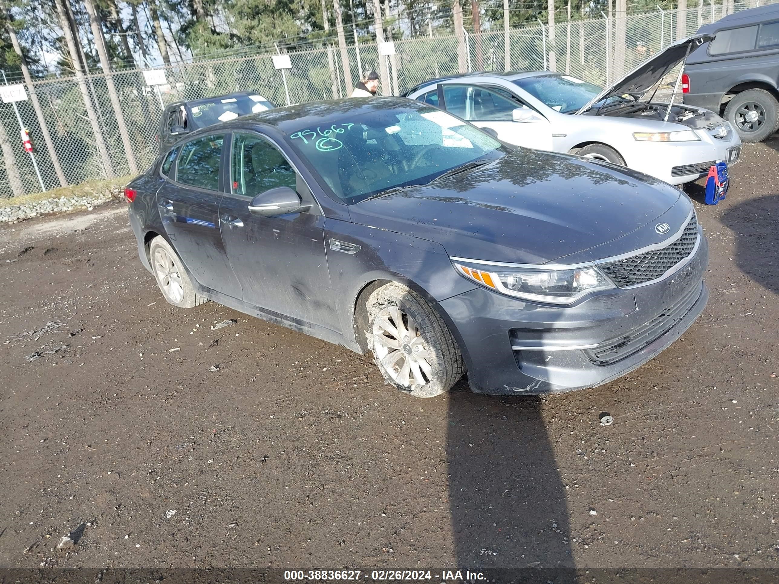 KIA OPTIMA 2017 5xxgt4l31hg160921