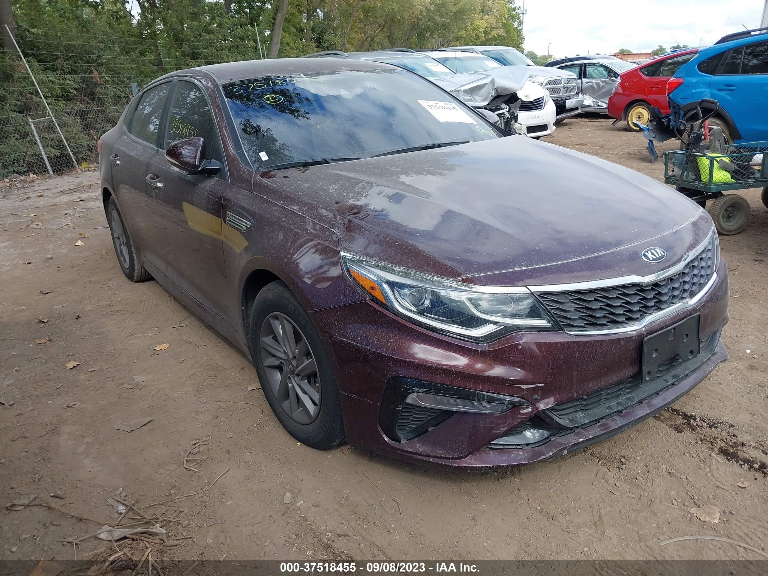 KIA OPTIMA 2020 5xxgt4l31lg442338