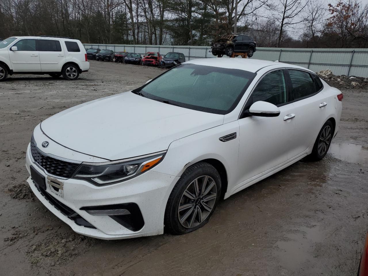 KIA OPTIMA 2019 5xxgt4l32kg370077