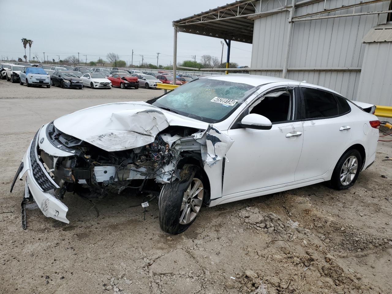 KIA OPTIMA 2019 5xxgt4l33kg275639