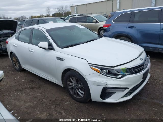 KIA OPTIMA 2019 5xxgt4l33kg285779