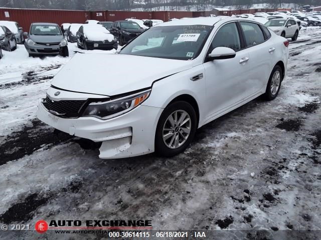 KIA OPTIMA 2016 5xxgt4l35gg031935