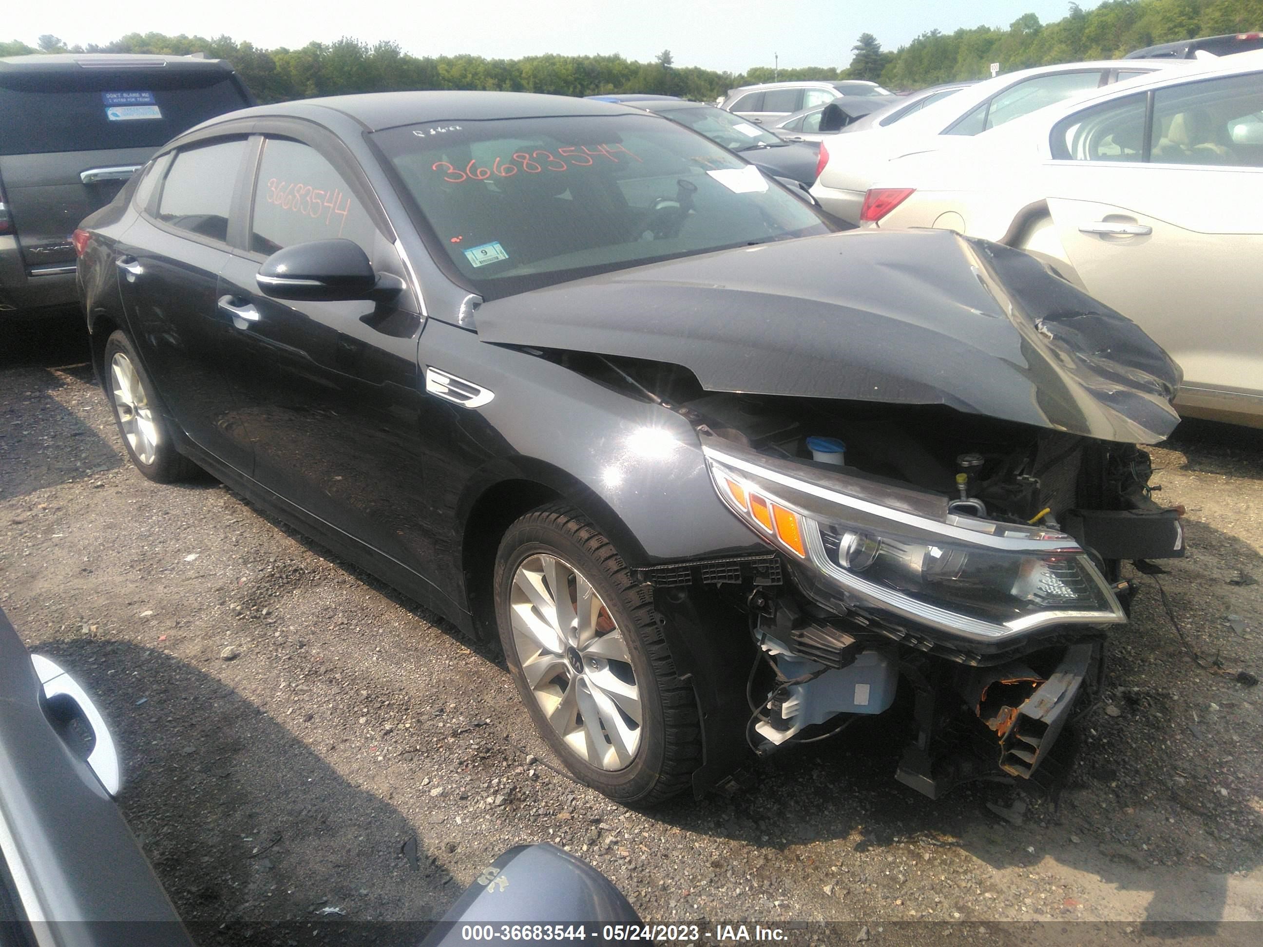 KIA OPTIMA 2016 5xxgt4l36gg004243