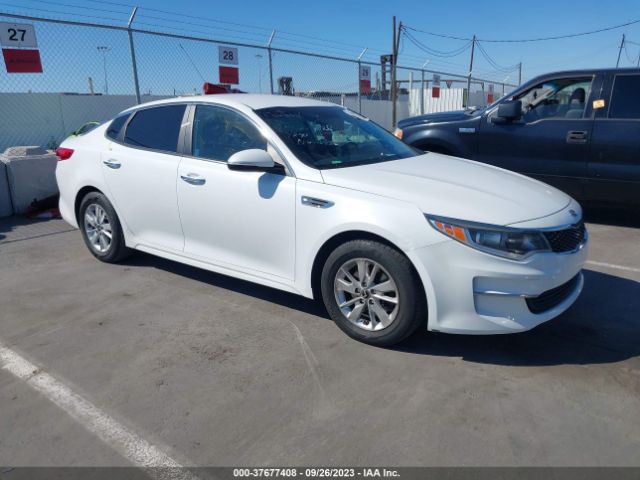 KIA OPTIMA 2017 5xxgt4l36hg158047