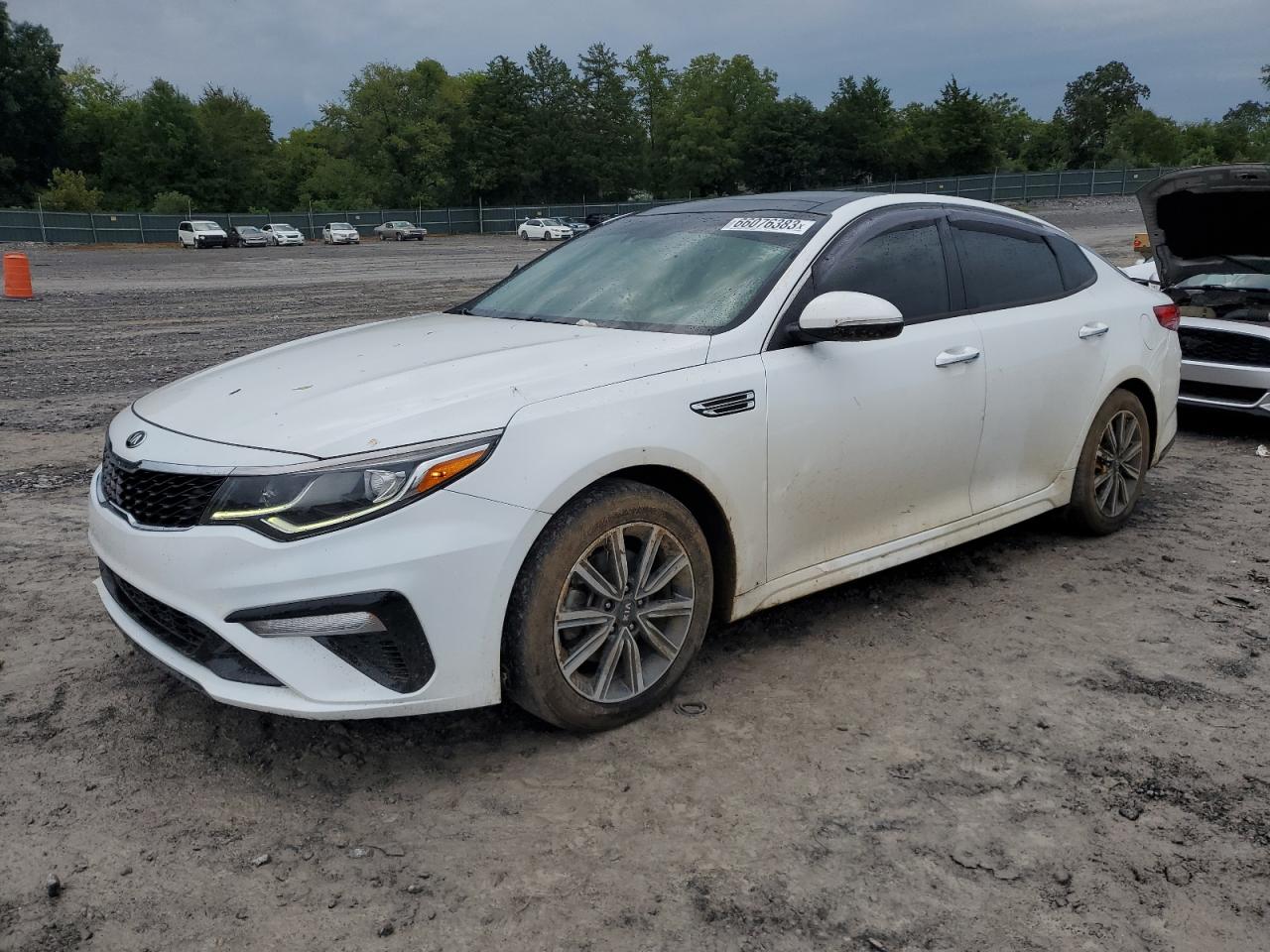 KIA OPTIMA 2019 5xxgt4l36kg318435