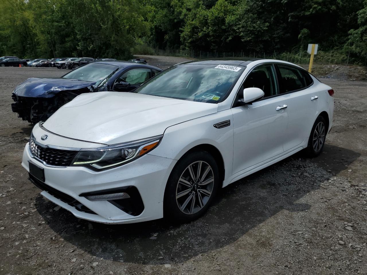 KIA OPTIMA 2019 5xxgt4l36kg337552